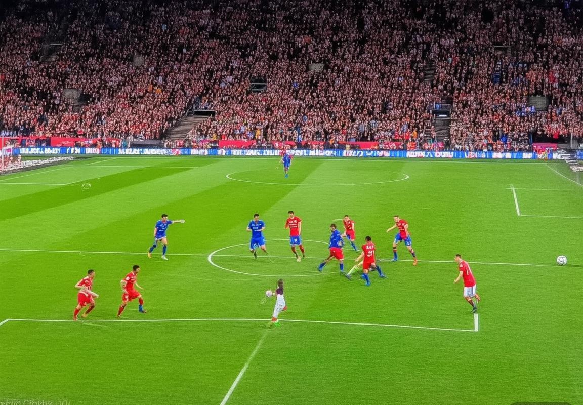 2019法甲焦点战：第戎VS雷恩激战解析及赛后分析(图2)